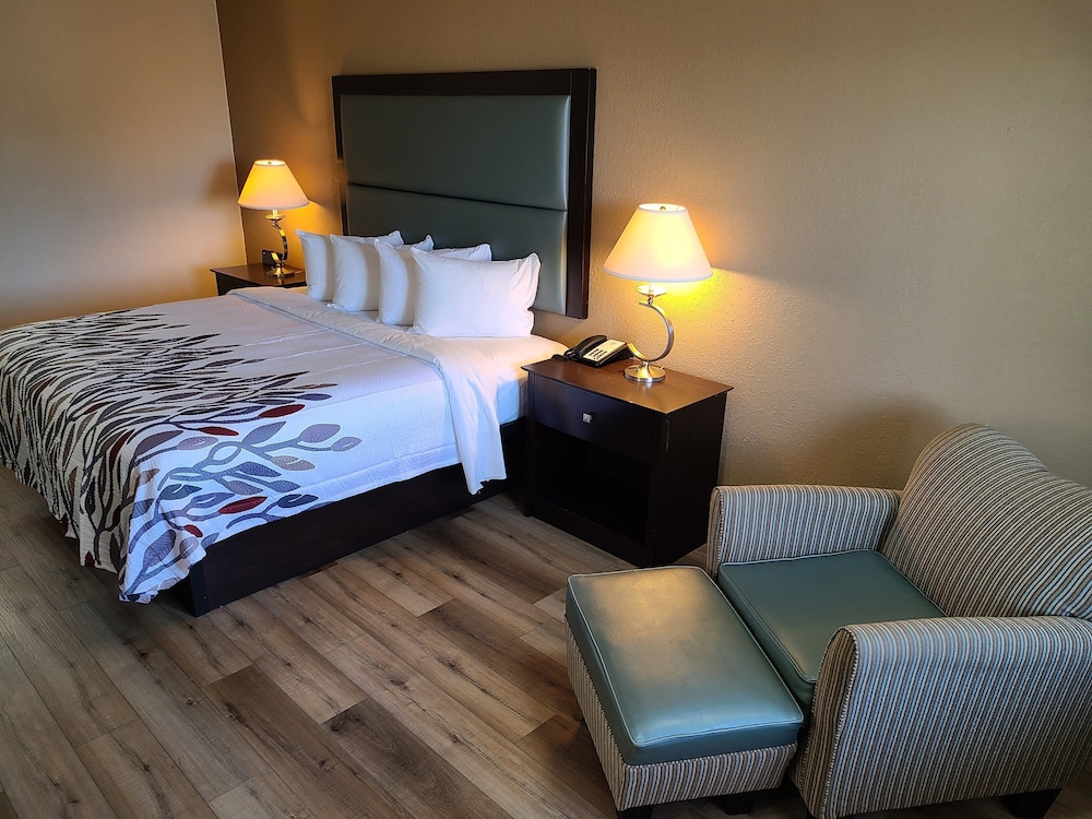 Superior Room, 1 King Bed, Accessible, Non Smoking (Roll-In Shower) - Photo 2