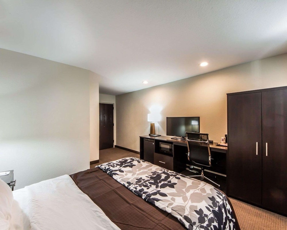 Room, 1 Queen Bed, Accessible, Non Smoking - Photo 4
