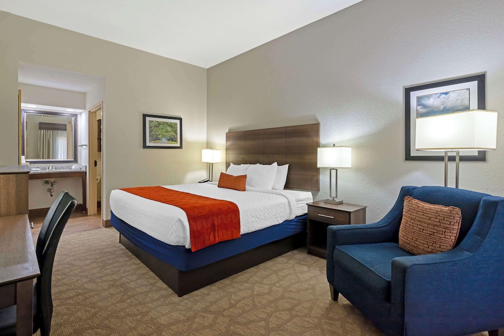 Standard Room, 1 King Bed, Non Smoking, Refrigerator & Microwave photo 1