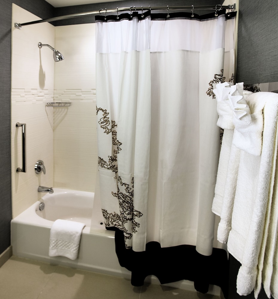 Suite, 1 Bedroom (Mobility/Hearing Access, Roll-In Shwr) photo 3
