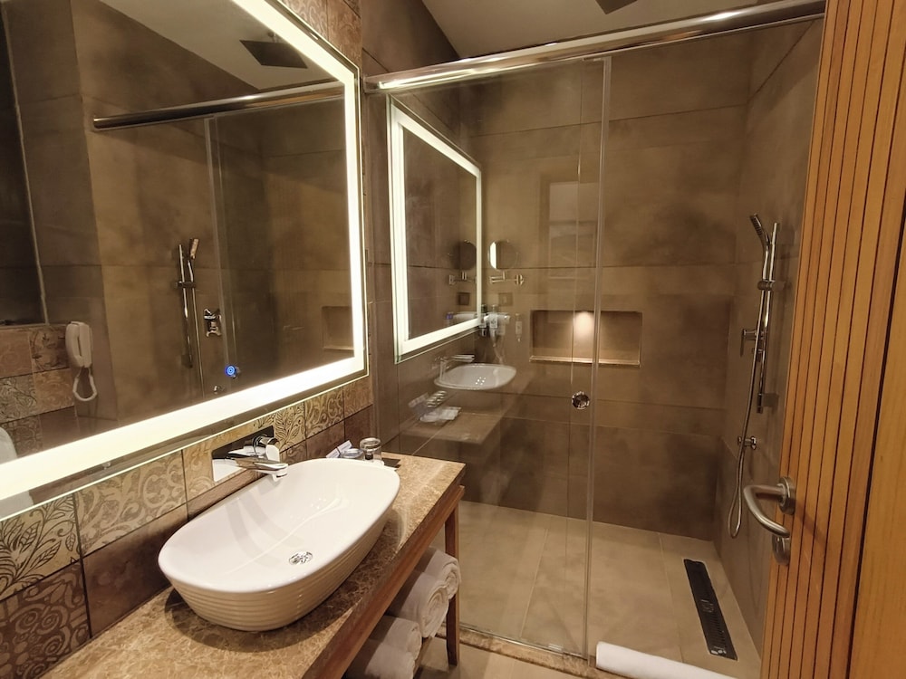 Premium Room (Private Sit Out) - Photo 6