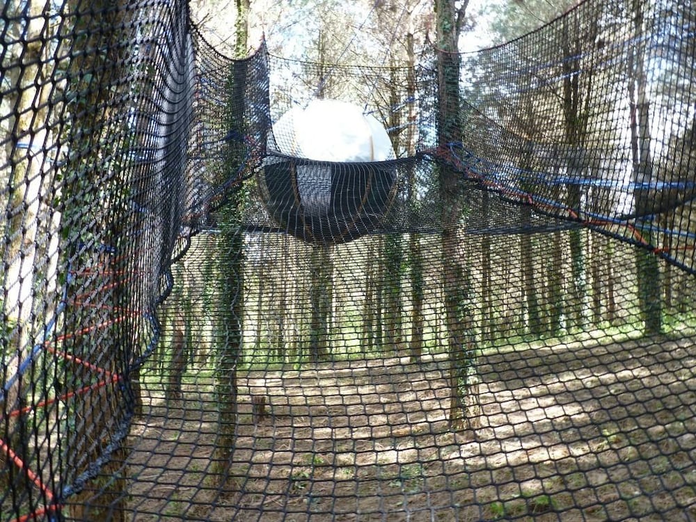 Tree House (Pics Verts) photo 3
