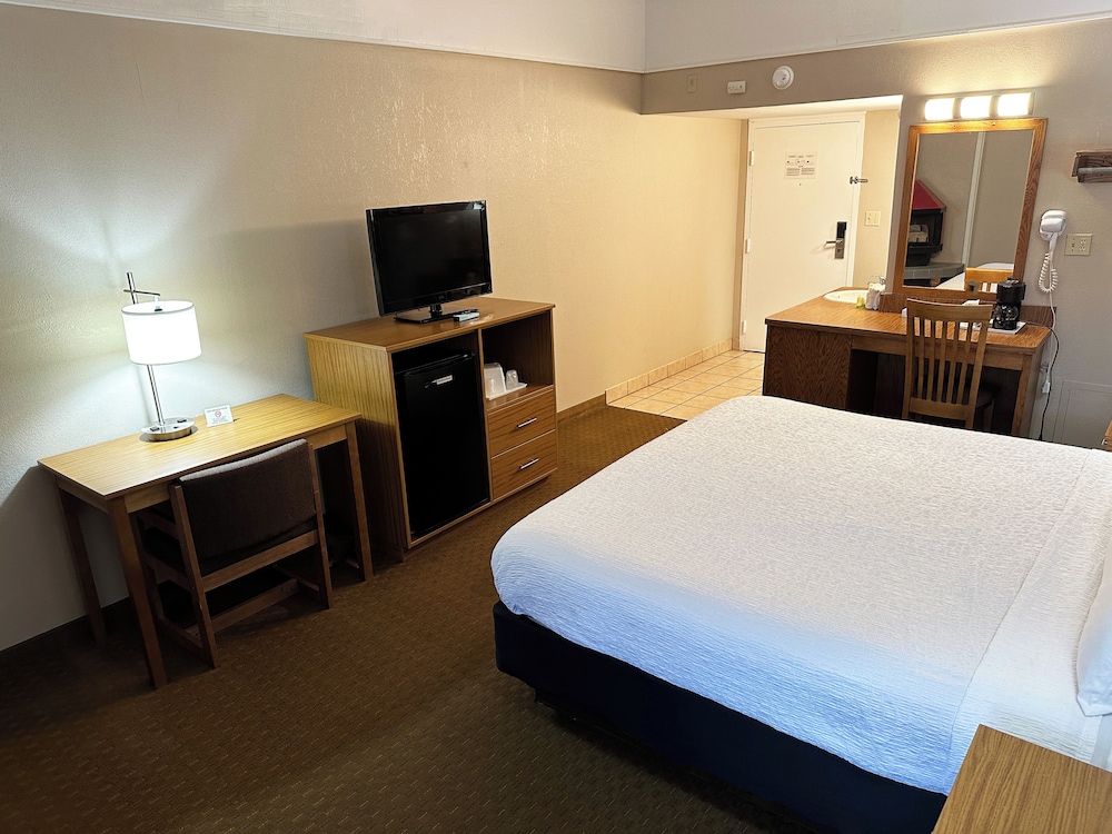 Room, 1 King Bed, Pets Not Allowed - Photo 4