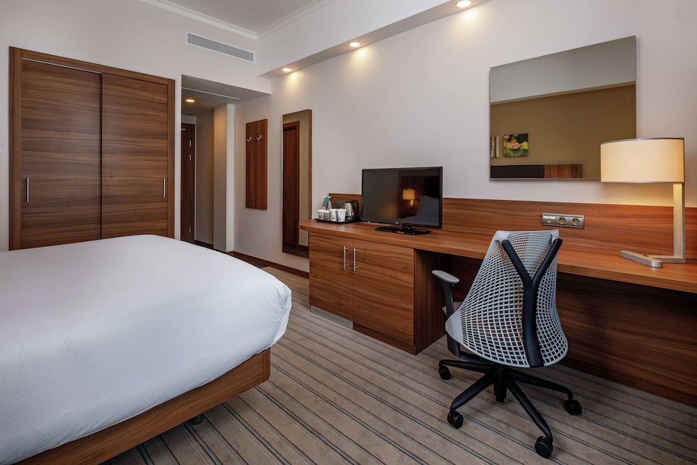 Basic Room, 1 King Bed photo 3