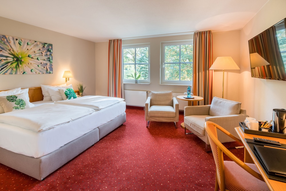 Superior Single Room, 1 King Bed, Non Smoking