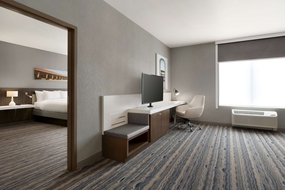 Room, 1 King Bed, Accessible, Non Smoking (Rollin Shower)