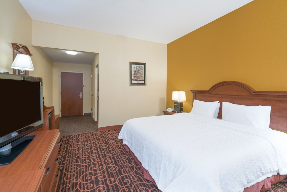 Room, 1 King Bed