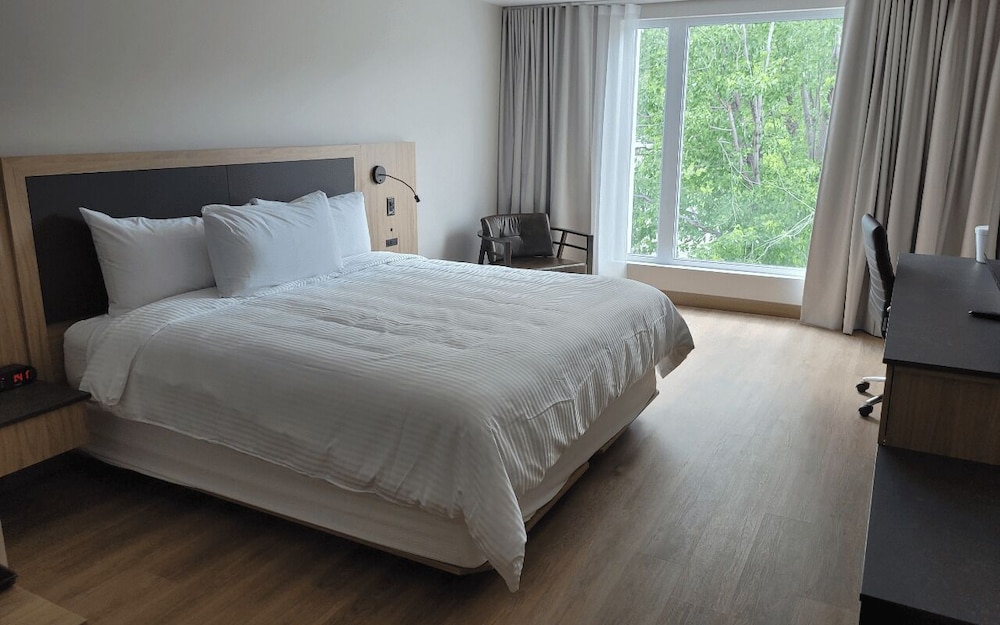 Superior Room, 1 King Bed, City View photo 1