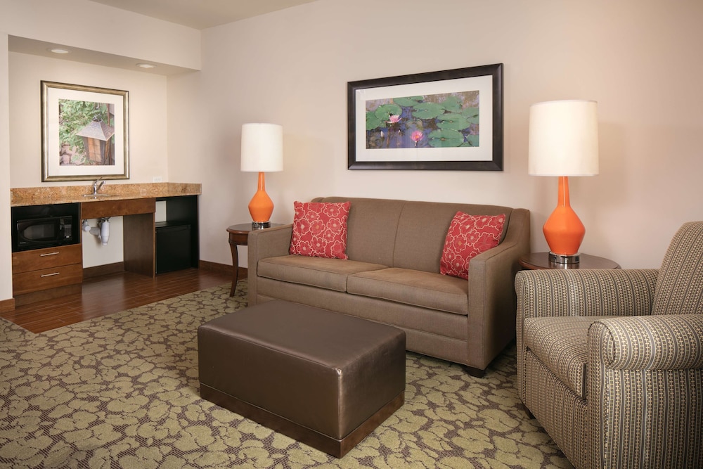 Room, 1 King Bed, Accessible (Roll-In Shower), photo 6