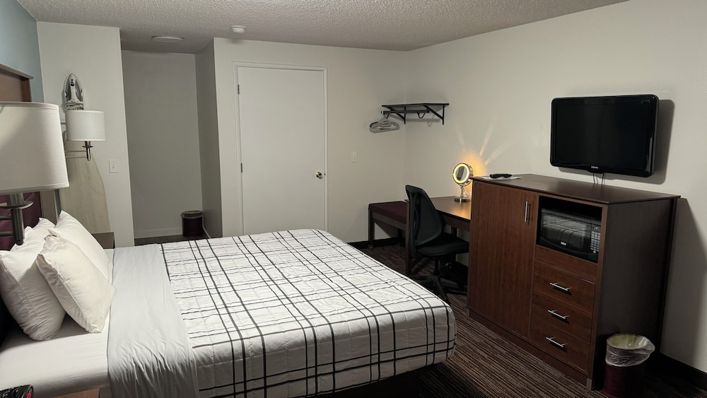 Standard Single Room, 1 King Bed - Photo 2