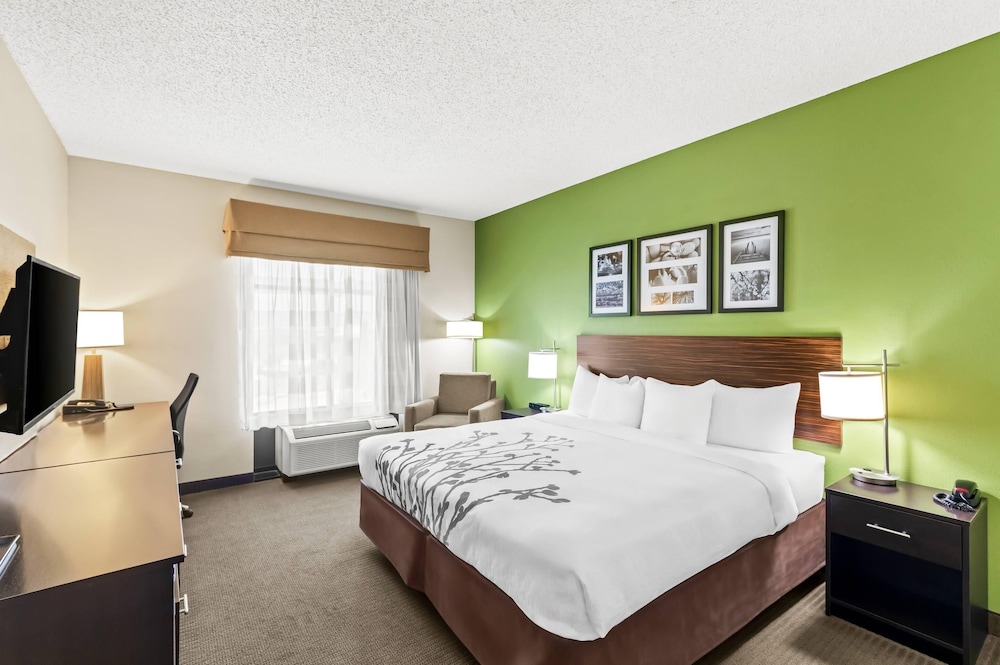 Standard Room, 1 King Bed, Non Smoking - Photo 1