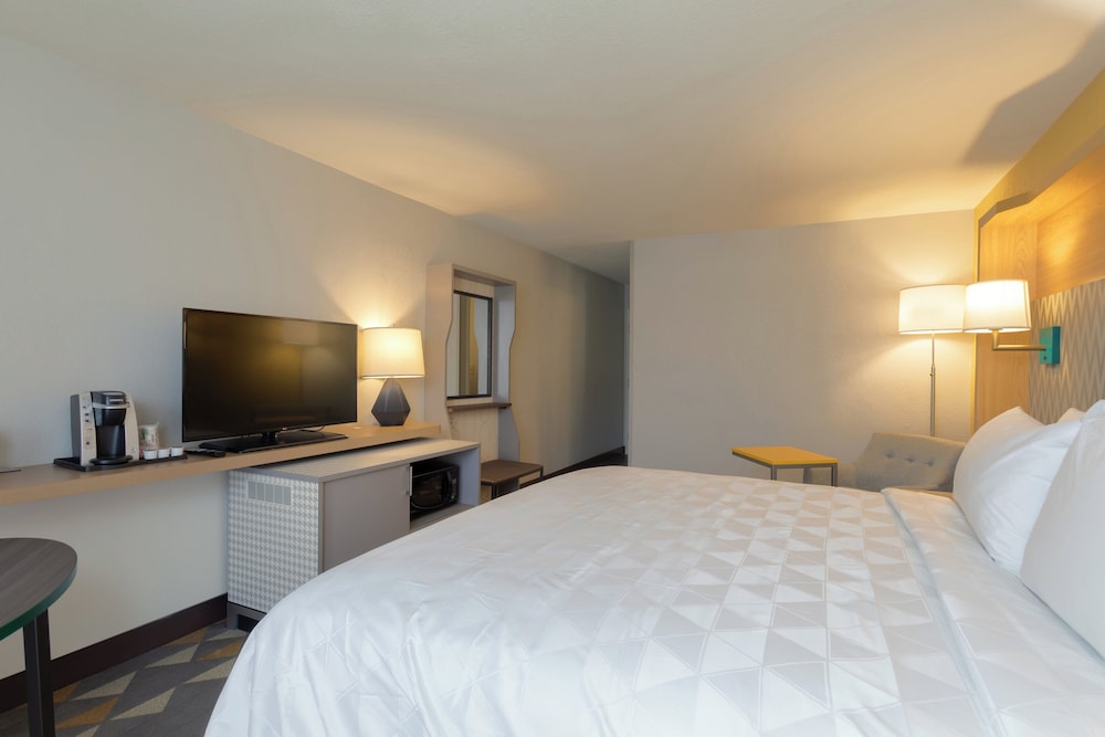 Suite, 1 King Bed