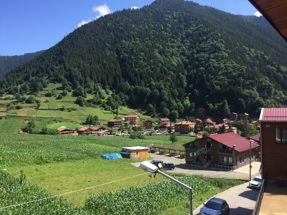 Family Apartment, 4 Bedrooms, Kitchen, Mountain View photo 3