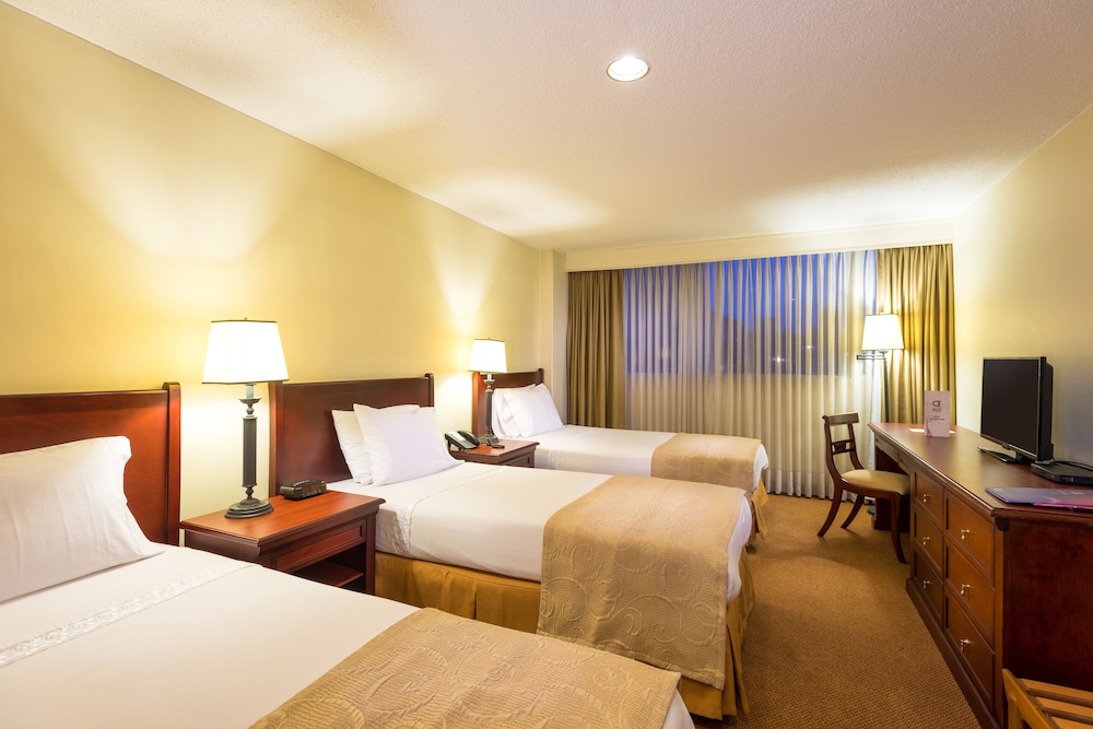 Standard Triple Room - Photo 2