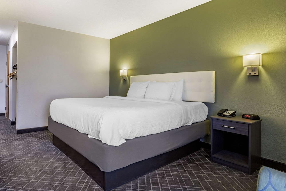 Room, 1 King Bed, Accessible, Non Smoking - Photo 4