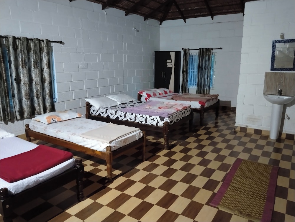 Classic Shared Dormitory photo 3