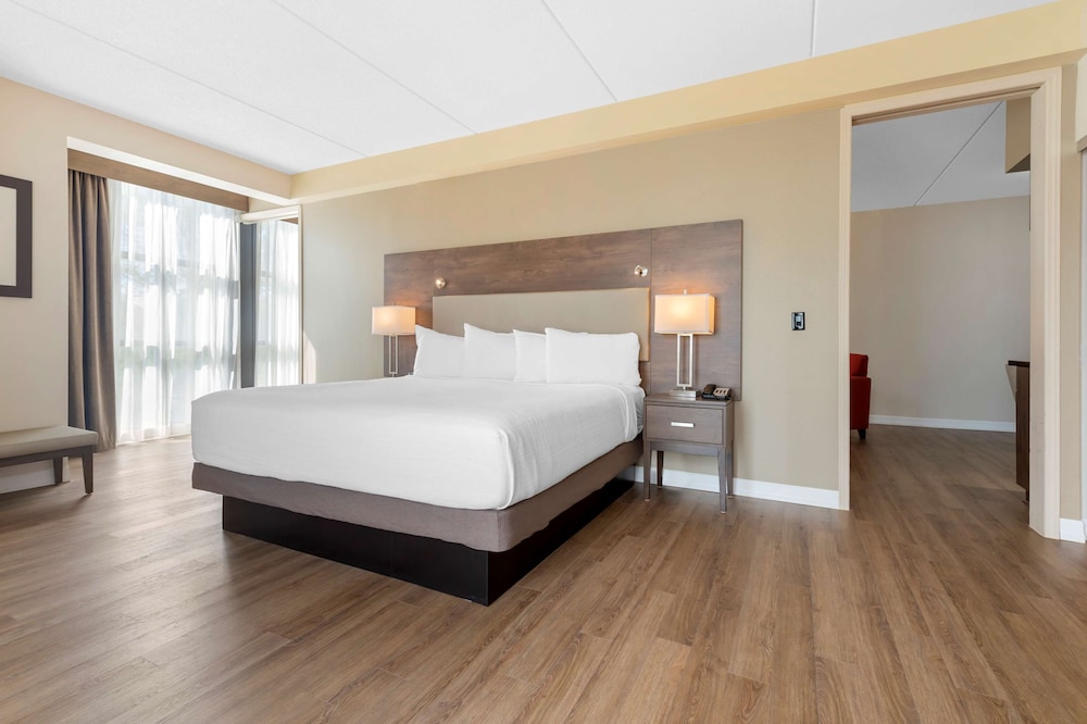 Suite, 1 King Bed with Sofa bed, Refrigerator & Microwave, Park View (with Sofabed) photo 1