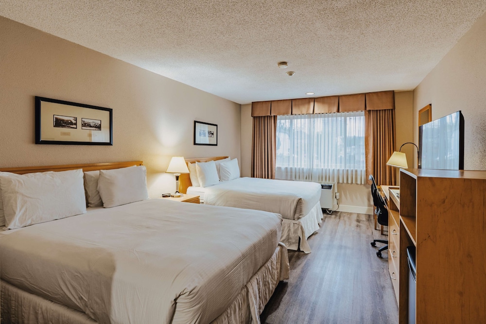 Suite, 2 Queen Beds, Non Smoking, Kitchenette - Photo 1