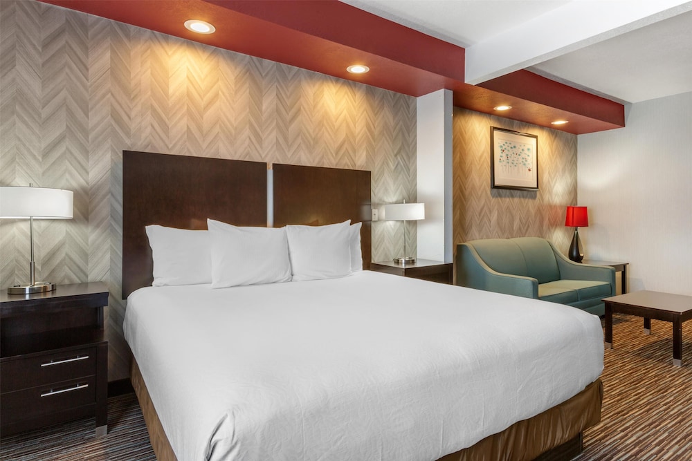 Suite, 1 King Bed, Non Smoking, Refrigerator & Microwave (with Sofabed)