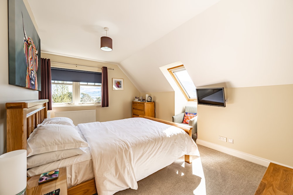 Deluxe Double Room, 1 King Bed, Mountain View photo 3
