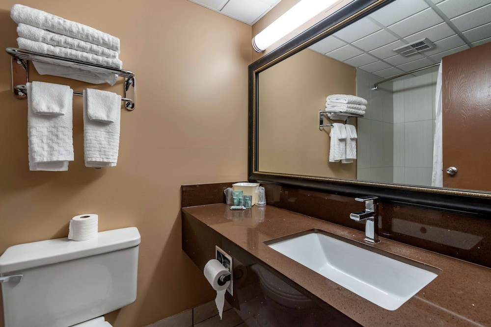 Standard Room, Multiple Beds, Non Smoking, Refrigerator & Microwave photo 3