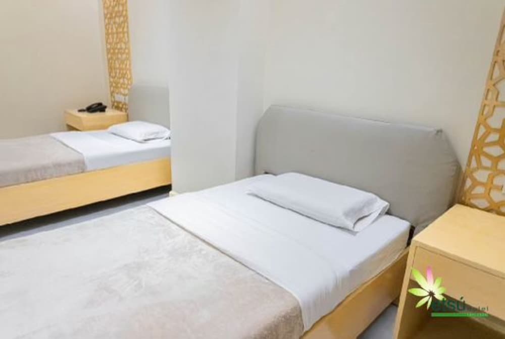 Deluxe Studio, 2 Twin Beds, City View photo 2