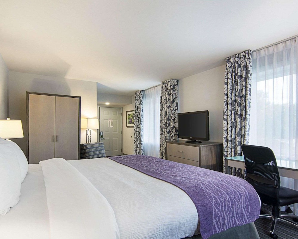 Room, 1 King Bed, Accessible, Non Smoking - Photo 1