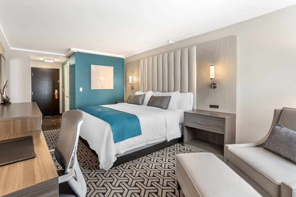 Standard Room, 1 King Bed, Non Smoking, Courtyard View photo 3