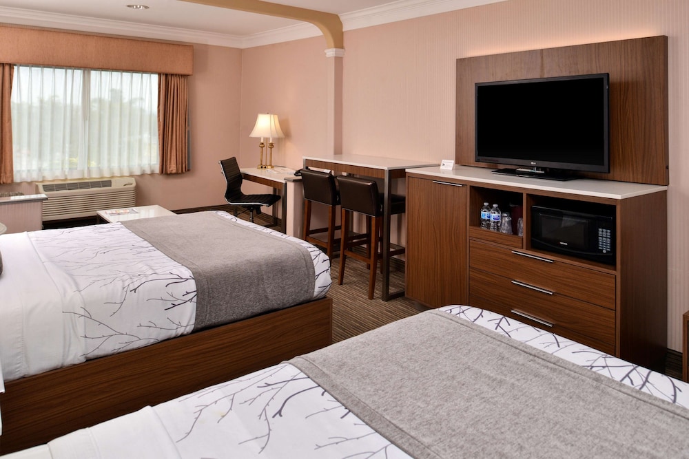 Standard Room, Multiple Beds, Non Smoking, Refrigerator & Microwave (with Sofabed) - Photo 1