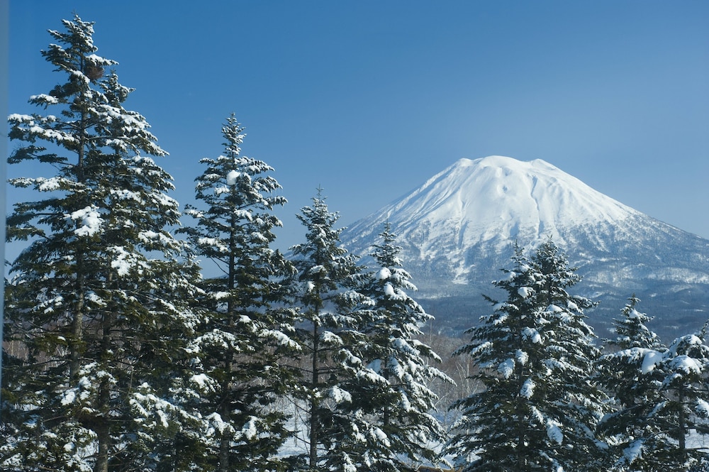 Twin Deluxe Mt. Yotei - Photo 4