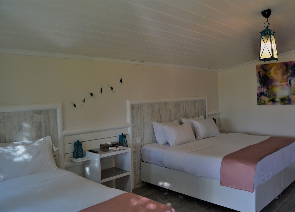 Deluxe Triple Room photo 1