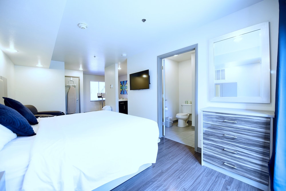 Single Room, 1 King Bed, Kitchenette
