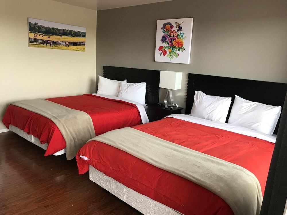 Standard Room, 2 Queen Beds, Non Smoking photo 1