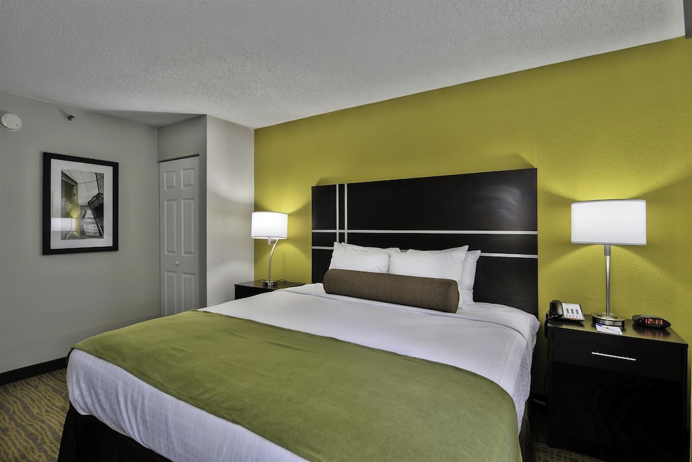 Standard Room, 1 King Bed, Accessible, Refrigerator & Microwave photo 2