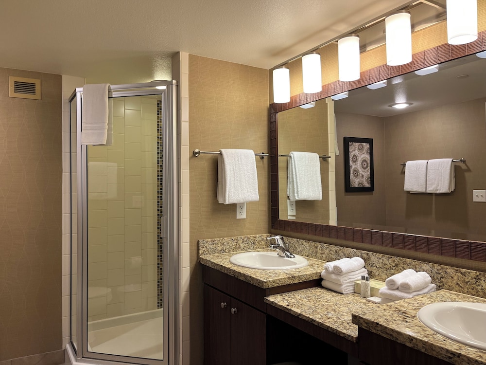 One Bedroom King Suite - Photo 10