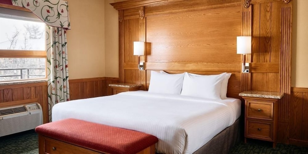 Deluxe Studio Suite, 1 King Bed