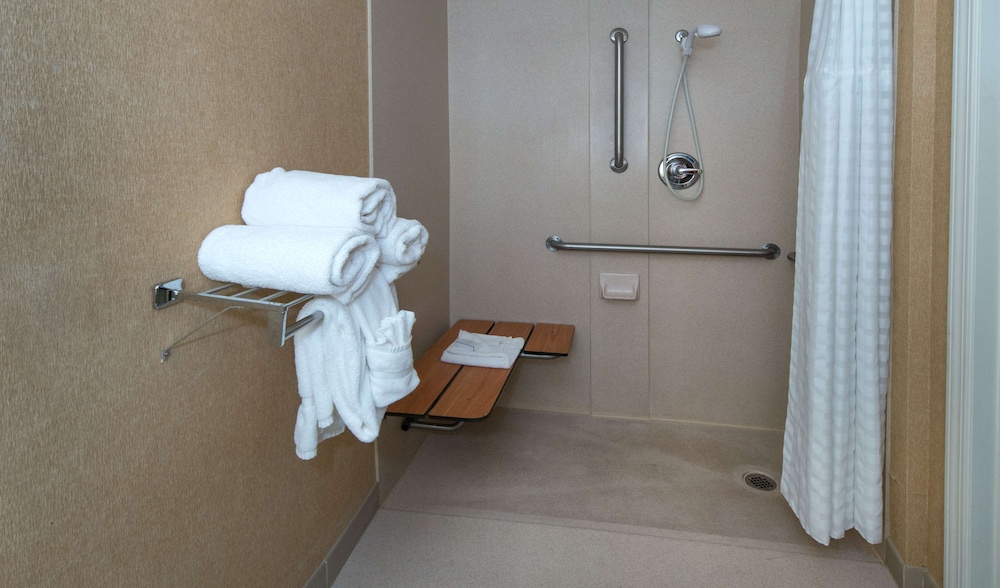 Studio, 1 Queen Bed, Accessible (Mobility & Hearing, Roll-in Shower)