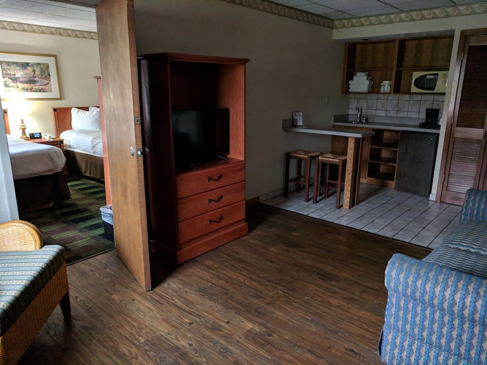 Family Suite, Refrigerator & Microwave, Poolside photo 2