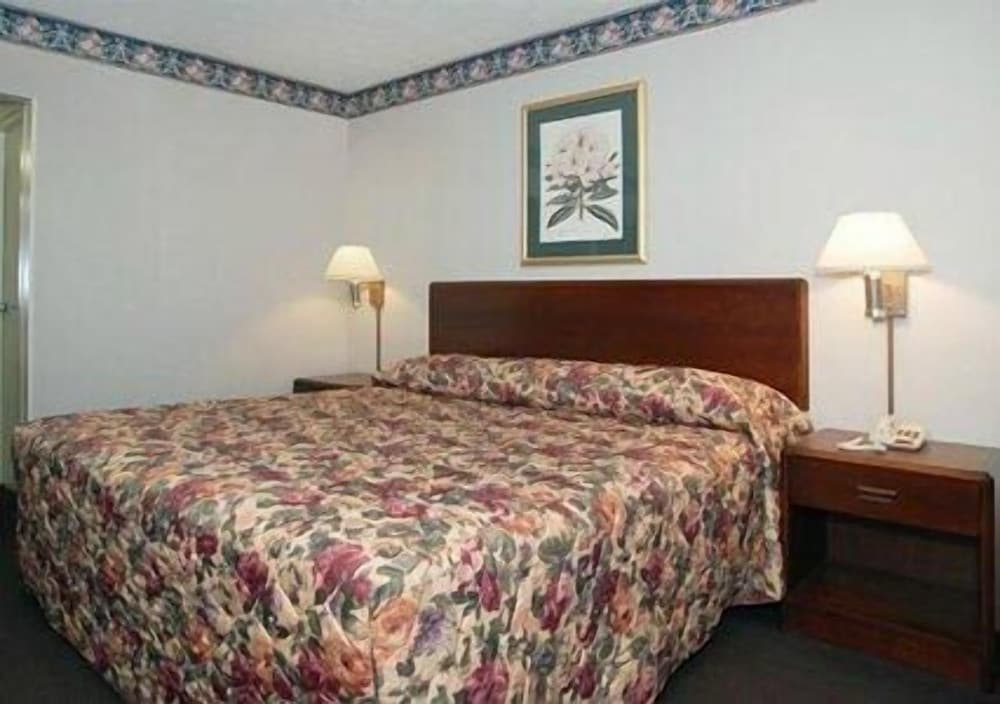 Standard Room, 1 King Bed, Non Smoking photo 1
