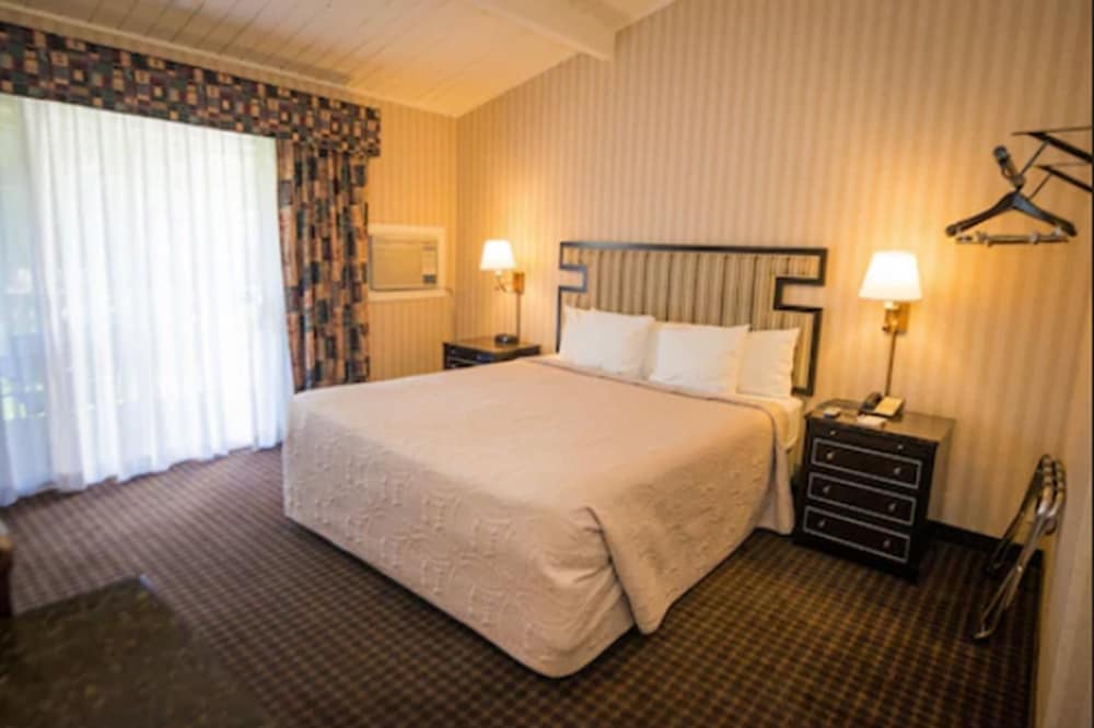 Suite, 1 King Bed with Sofa bed photo 2