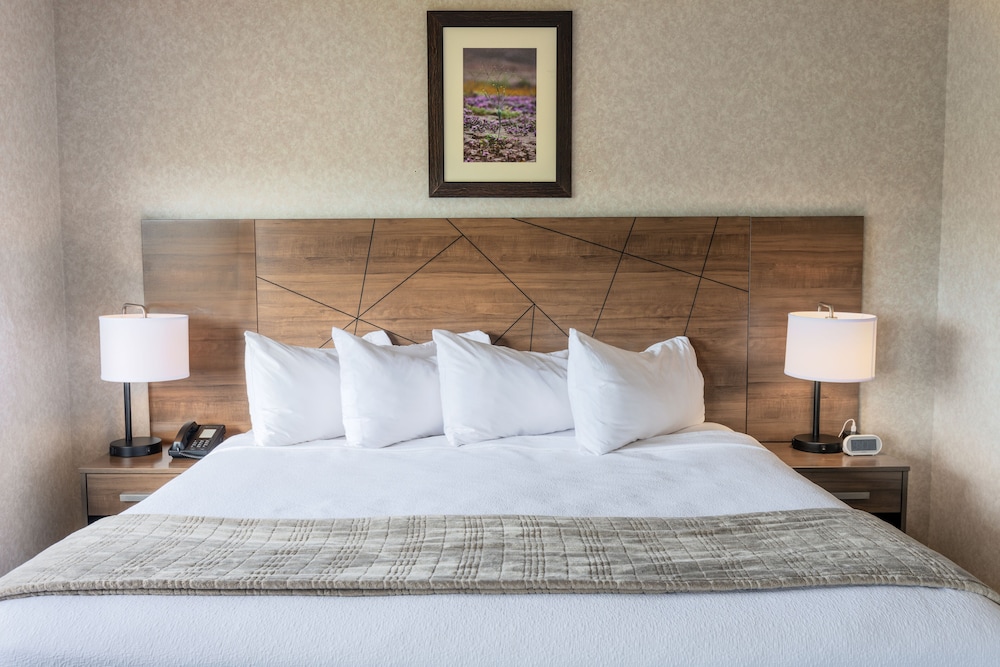 Junior Suite, 1 King Bed with Sofa bed, Jetted Tub, Desert View photo 2