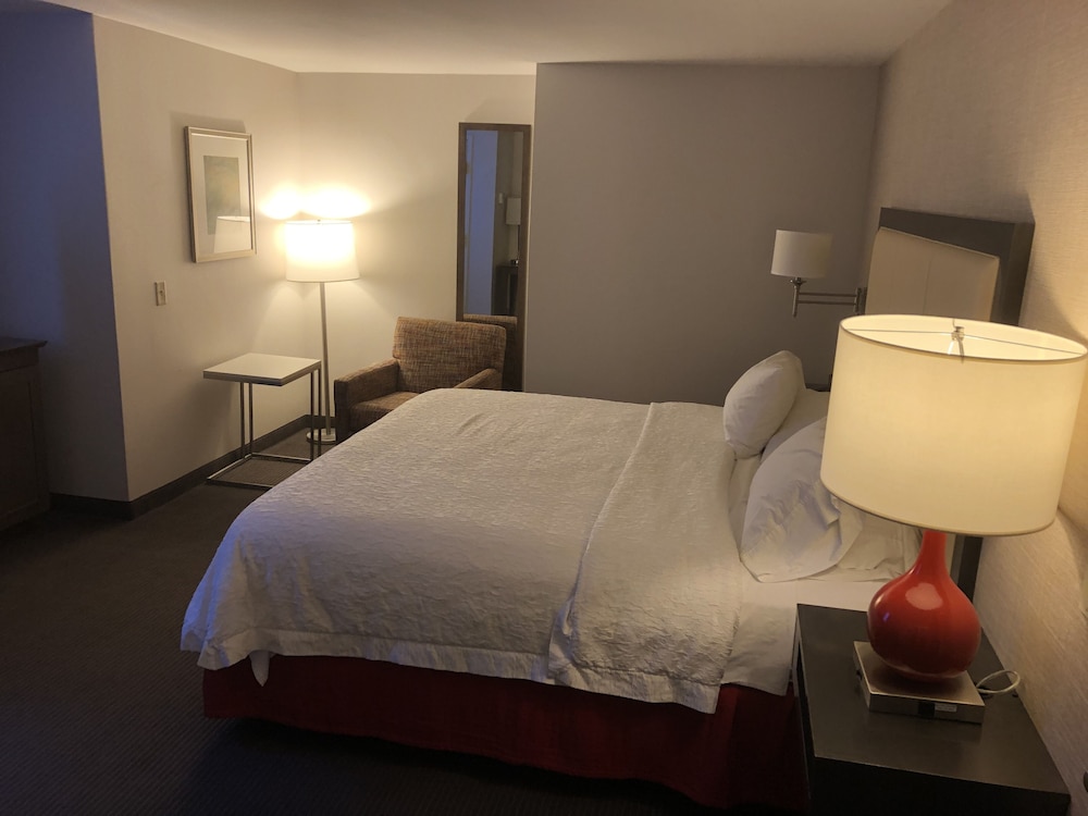 Suite, 1 King Bed, Accessible, Non Smoking photo 2