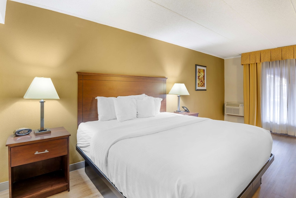 Standard Room, 1 King Bed, Non Smoking, Jetted Tub - Photo 4