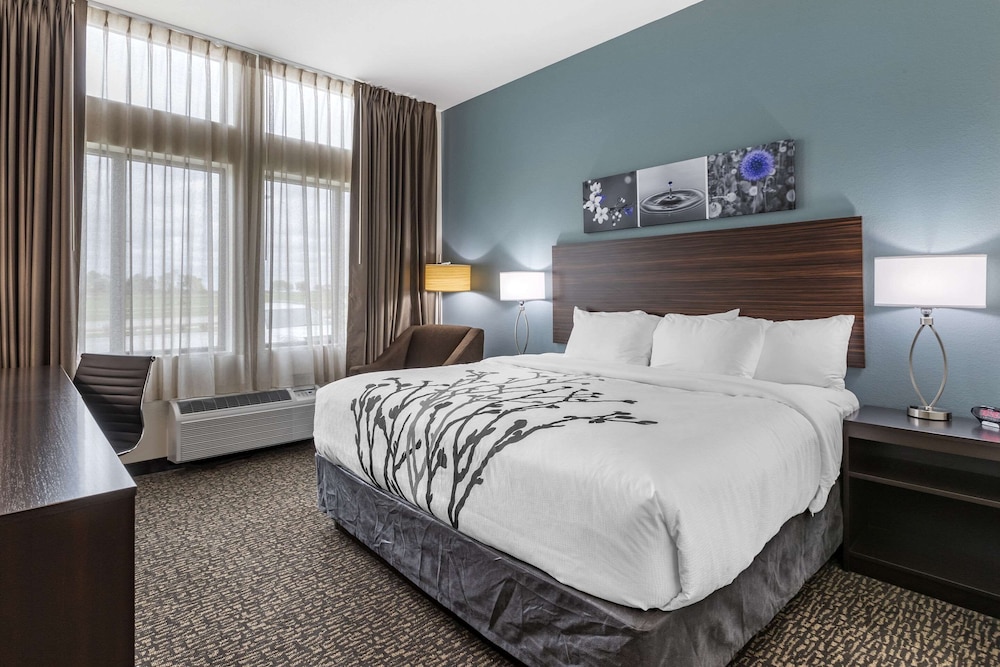 Standard Room, 1 King Bed, Non Smoking - Photo 1