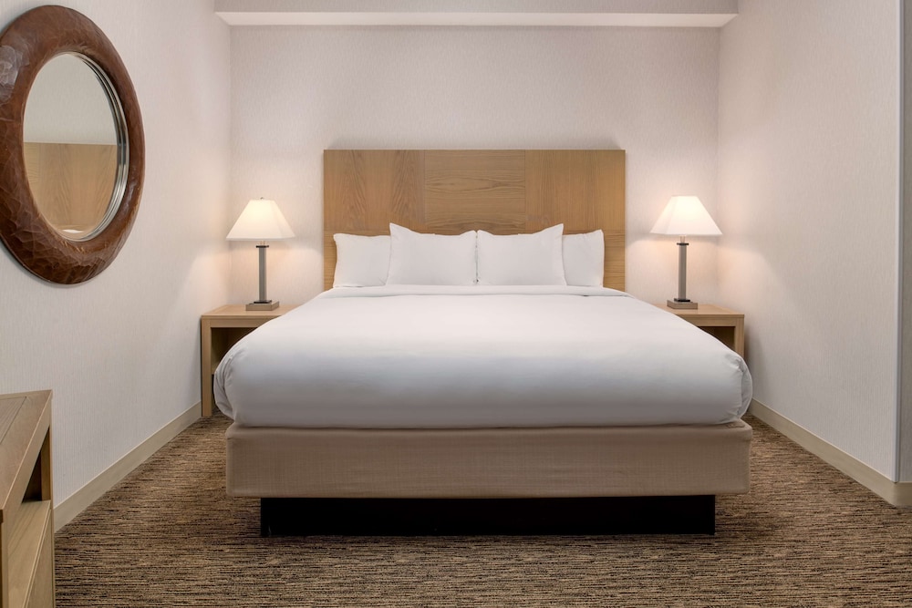 Studio Suite, 1 King Bed with Sofa bed, Non Smoking photo 1