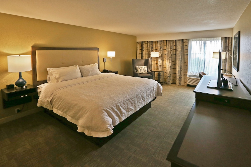 Room, 1 King Bed, Non Smoking, Refrigerator (Shower Only) - Photo 1