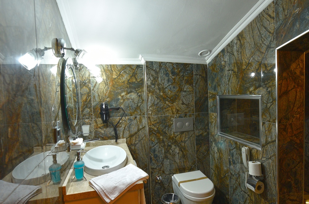 Double or Twin Room photo 3