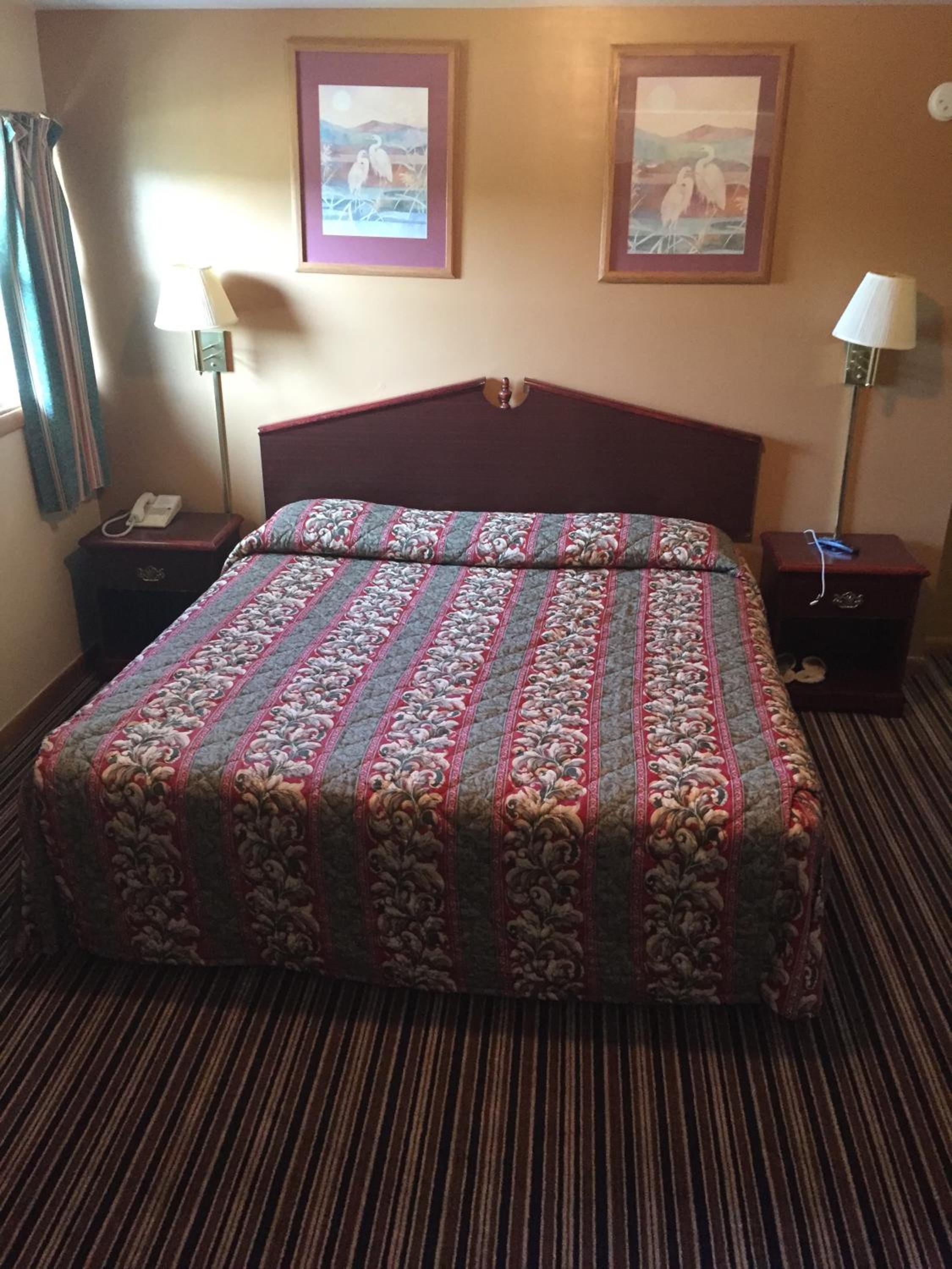 King Room photo 2