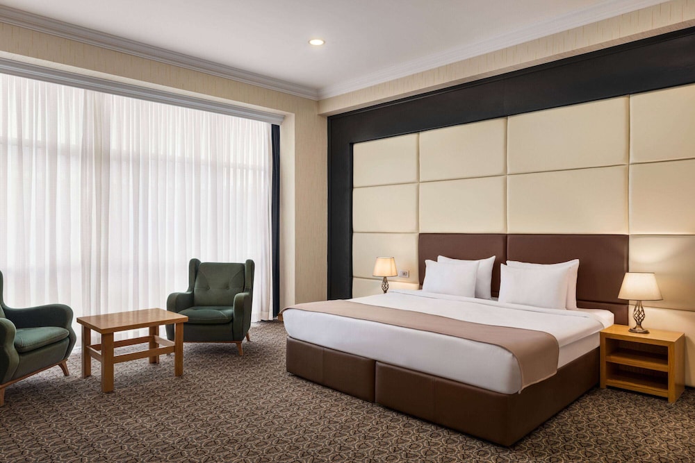 Room, 1 King Bed, Non Smoking photo 2