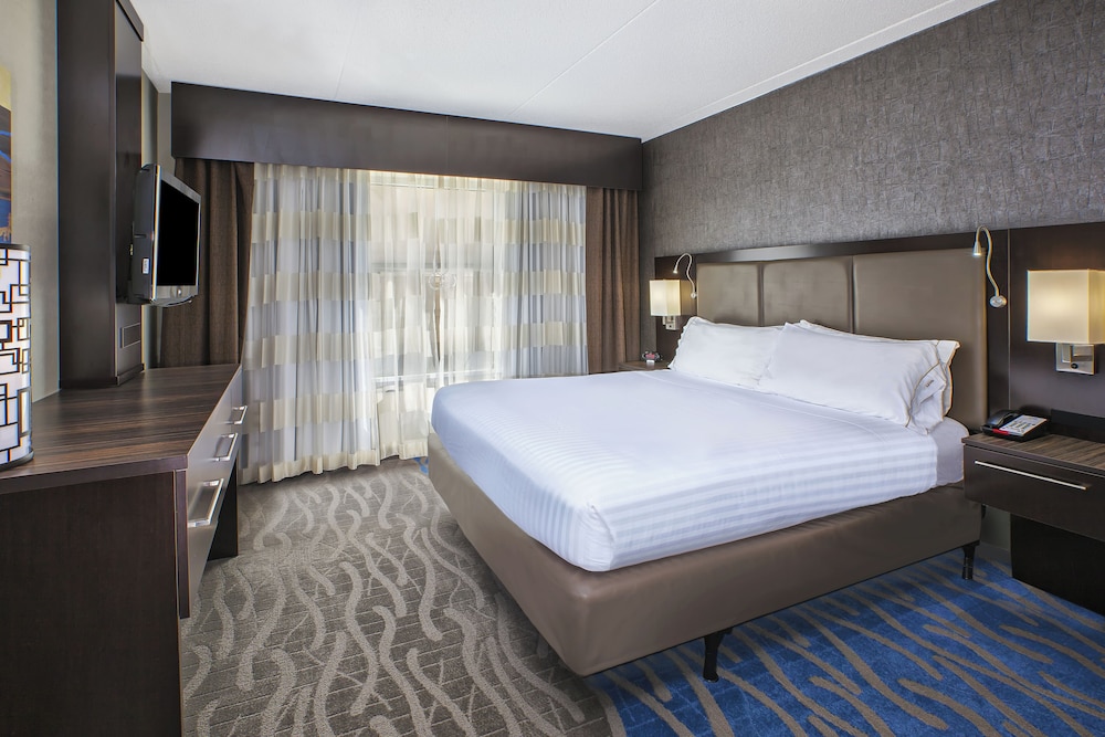 Suite, 1 King Bed - Photo 4
